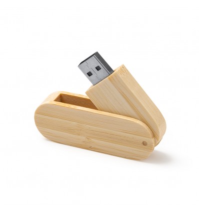 Stick USB GUDAR