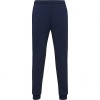 Pantaloni sport barbati RODAS
